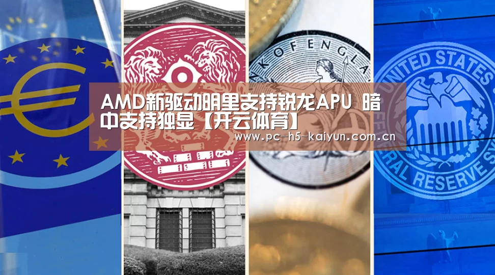AMD新驱动明里支持锐龙APU 暗中支持独显【开云体育】(图1) 开云体育