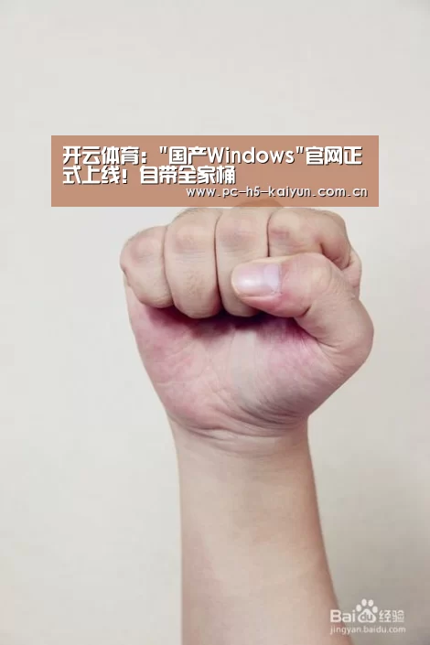开云体育