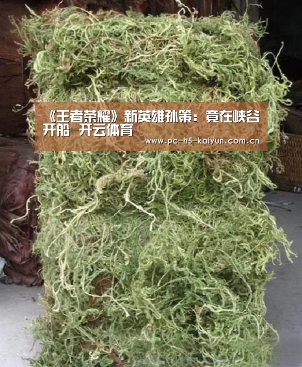 《王者荣耀》新英雄孙策:竟在峡谷开船-开云体育(图1) 开云体育