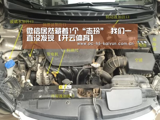 微信居然藏着1个“志玲” 我们一直没发现【开云体育】(图4) 开云体育